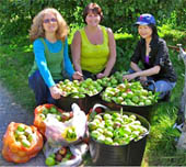 abundance 2